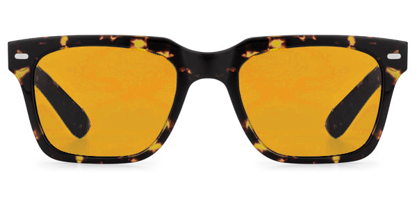 CUT FORTY TORT / UMBER